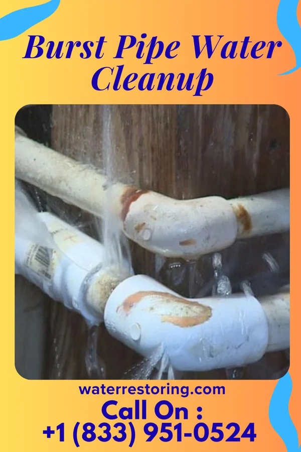 Burst Pipe Water Cleanup in Hamilton, IA