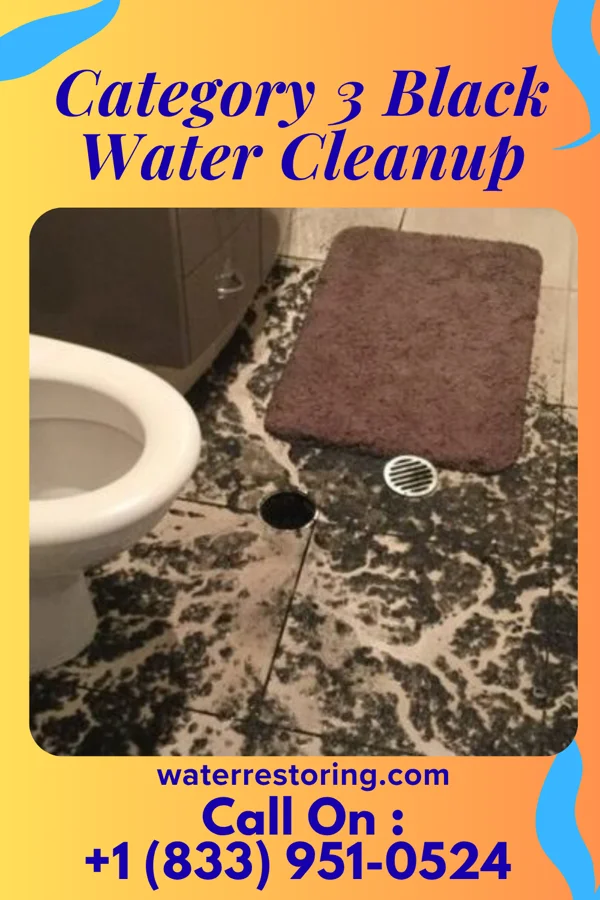 Category 3 Black Water Cleanup in Hamilton, IA