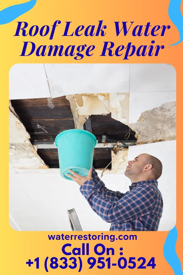 Roof Leak Water Damage Repair in Hamilton, IA
